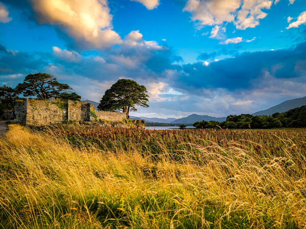 On a small rise, the ruins of a thirteenth century castle still preside over Lough Leane in Killarney National Park.