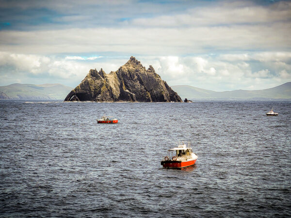 Little Skellig Island is the home to vast colonies of birds. Its bigger brother was made famous as the film location of "The Force Awakens" and "The Last Jedi" from the Star Wars franchise.