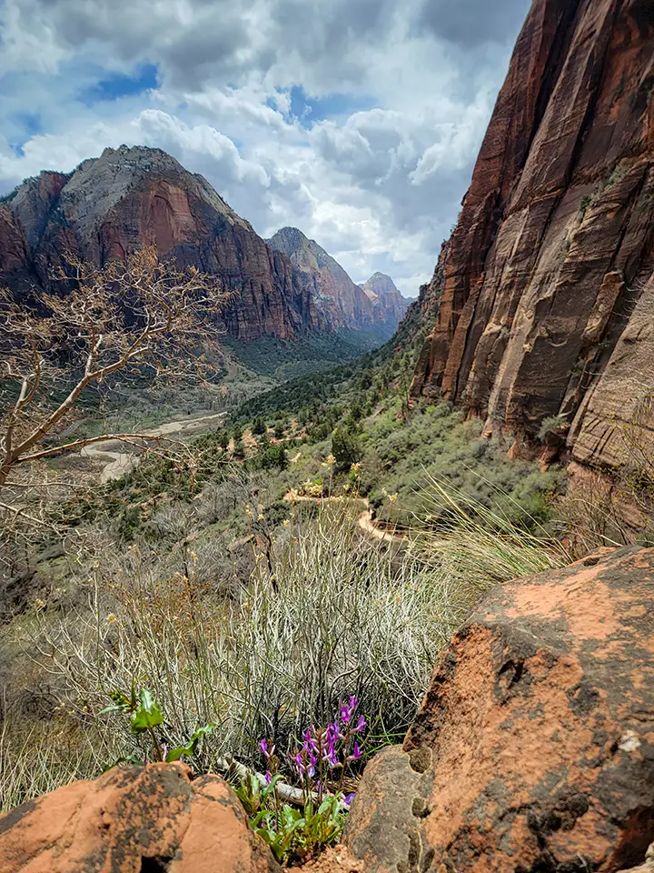 View of Angel's Landing Trail